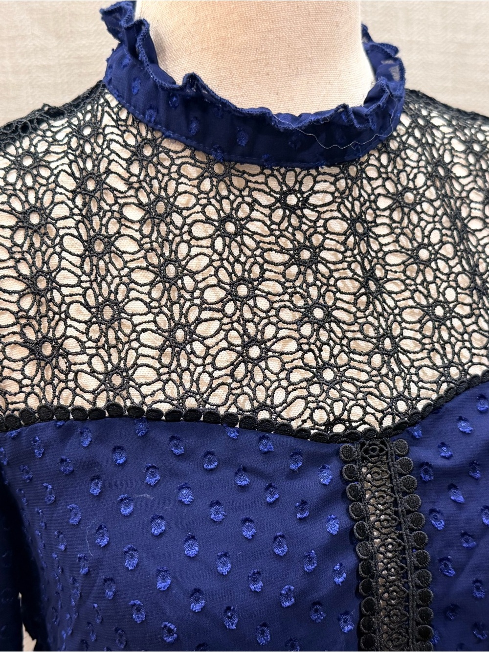 Navy Blue Swiss Dot Lace Yoke Dress